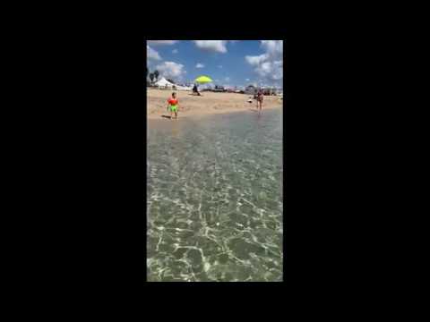 Un piccolo pesce spada a pochi passi dalla battigia nelle acque di Campomarino
