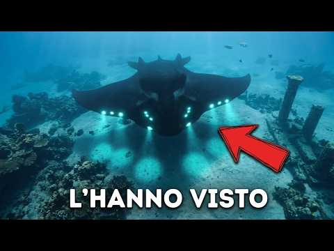 Un’app ha registrato 9.000 oggetti misteriosi vicino alle coste degli Stati Uniti