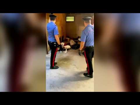Oltre tre etti di cocaina in casa, arrestati marito e moglie