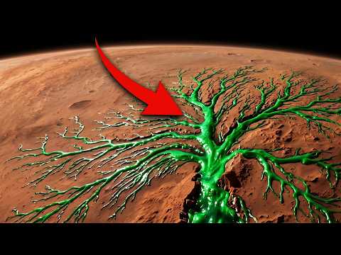 Queste linee compaiono ogni anno su Marte: cosa le provoca?